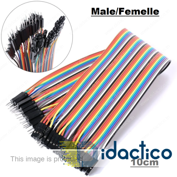 Fil jumper Male/Femelle 10cm DIDACTICO TUNISIE