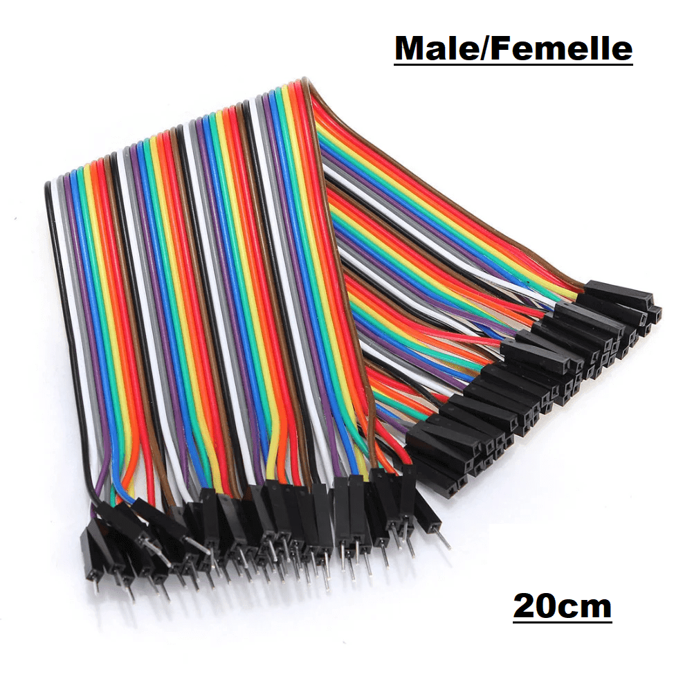 Fil jumper Male/Femelle 20cm DIDACTICO TUNISIE