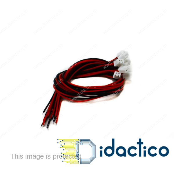 Cable connecteur Femelle JST 2.54 - 2Pin DIDACTICO TUNISIE